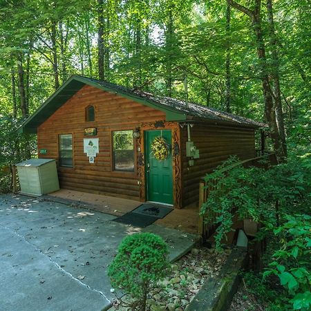 Beary Cozy Pigeon Forge Exterior foto